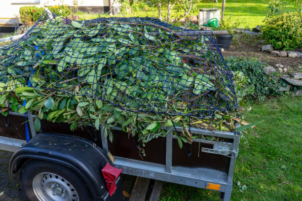 Best Recycling Services for Junk  in Port Angeles, WA
